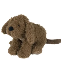 Glückliches Pferd Labradoodle Larry