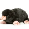 Hansa Kuschelmaulwurf 23 × 14 × 8 cm