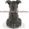 Jellycat Lawrence Schnauzer-Hund