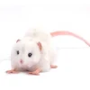 Ratte Stofftier weiß Hansa 12 cm